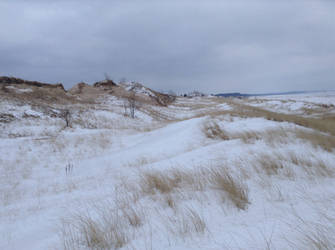 :frozen dunes: