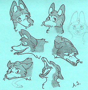 coyote sketch no 2