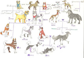 Dog family tree part 1