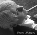 DRACO MALFOY - Cosplay - Portrait by Shinkan-Seto