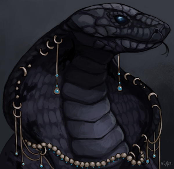 Аватарка змей. Королевская Кобра черная змея. Раса Драко рептилий. Змеи арт.