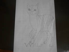 My Warior Cat: Wildpelt of Shadowclan