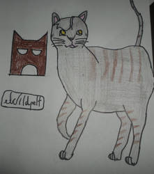 *Updated* My Warrior Cat: Wildpelt of Shadowclan