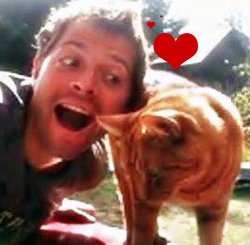 Misha loves his Cat