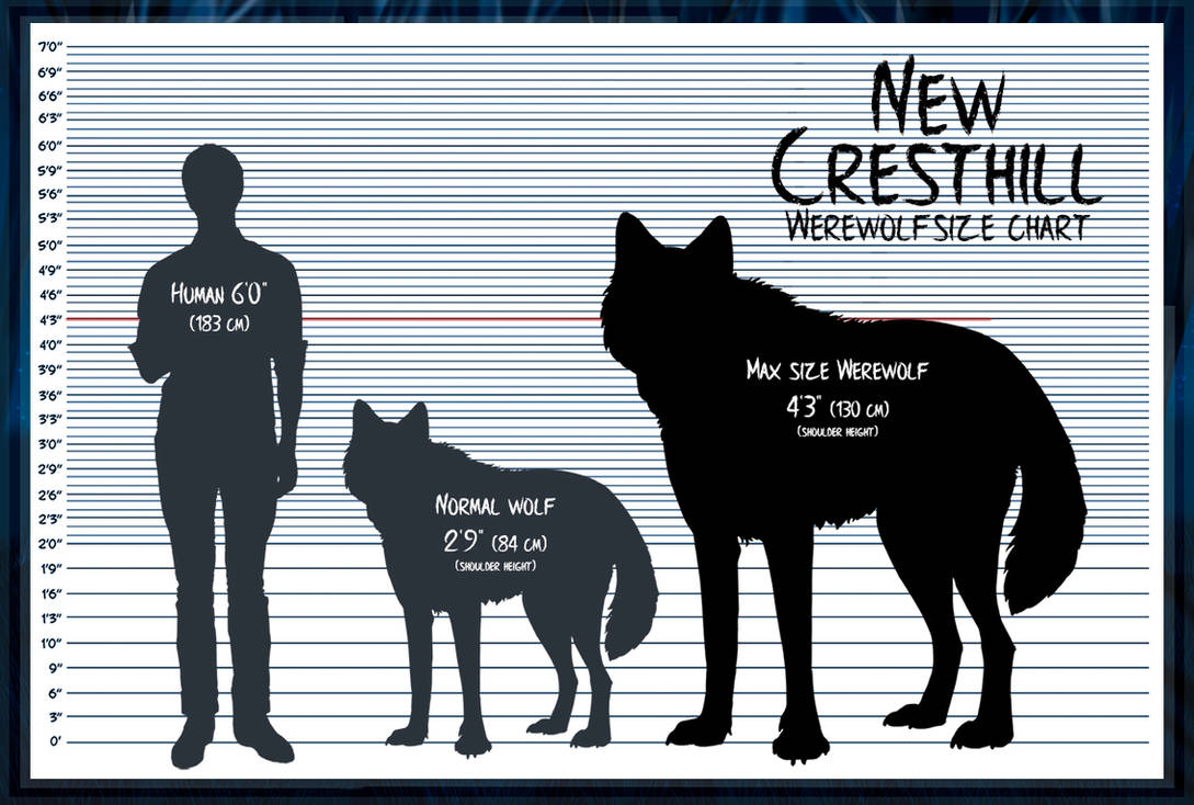 NCH Werewolf Size Chart [Closed] by SummonWolf on DeviantArt