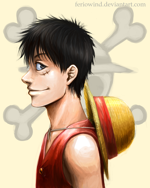 OP - Luffy profile