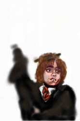 Hermione how everyone sees her