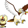 Alternate Shinies: Rufflet and Braviary