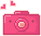 Icon- Pink Camera