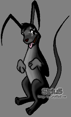 Sirius the Gelert by RoseSagae