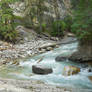 Johnson Canyon stock 006
