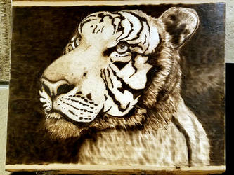 Wood Burning - Tiger Portrait