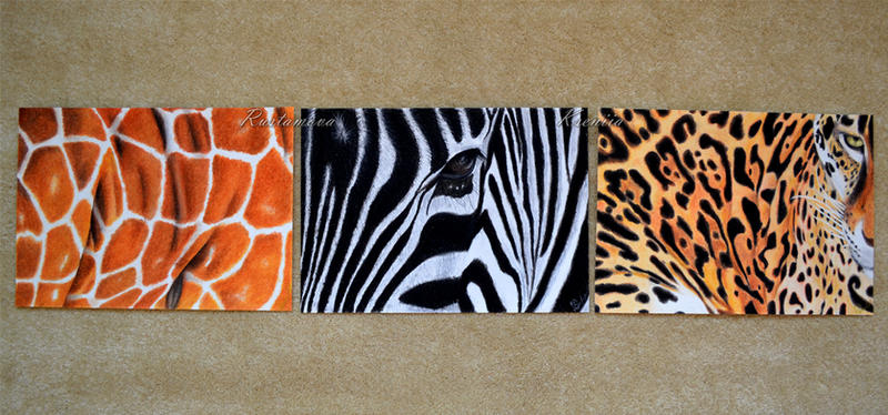 Visual Texture Animals Animal texture series by Rustamova on DeviantArt