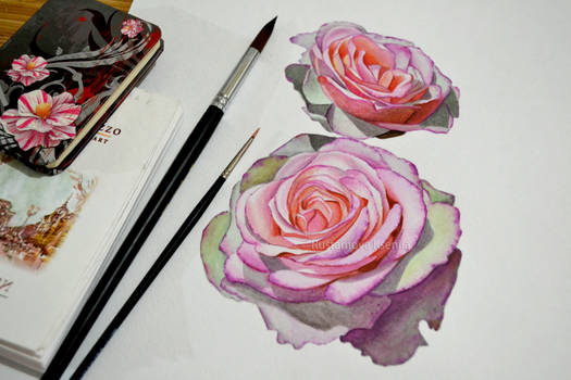 Watercolor roses