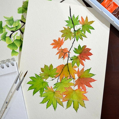 Watercolor maple branch