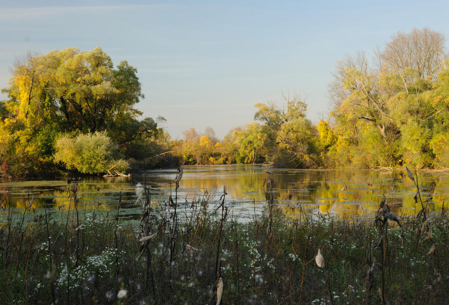 Lake View