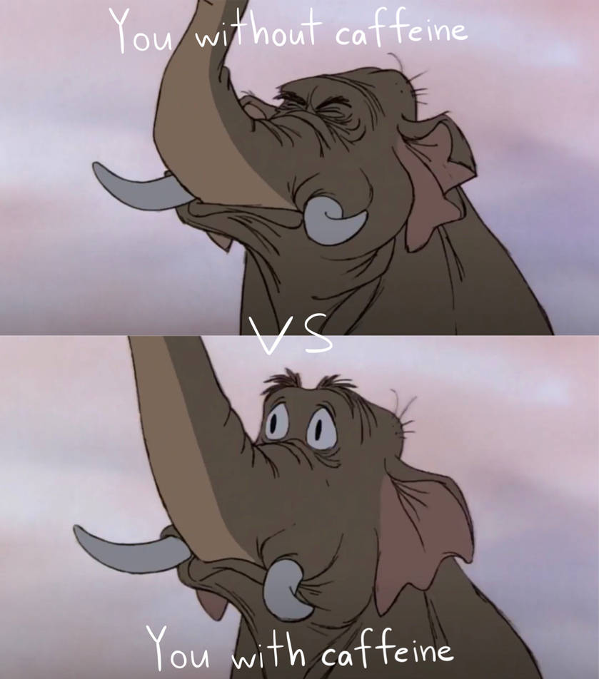 Elephant Meme by SqueakyNoodle on DeviantArt