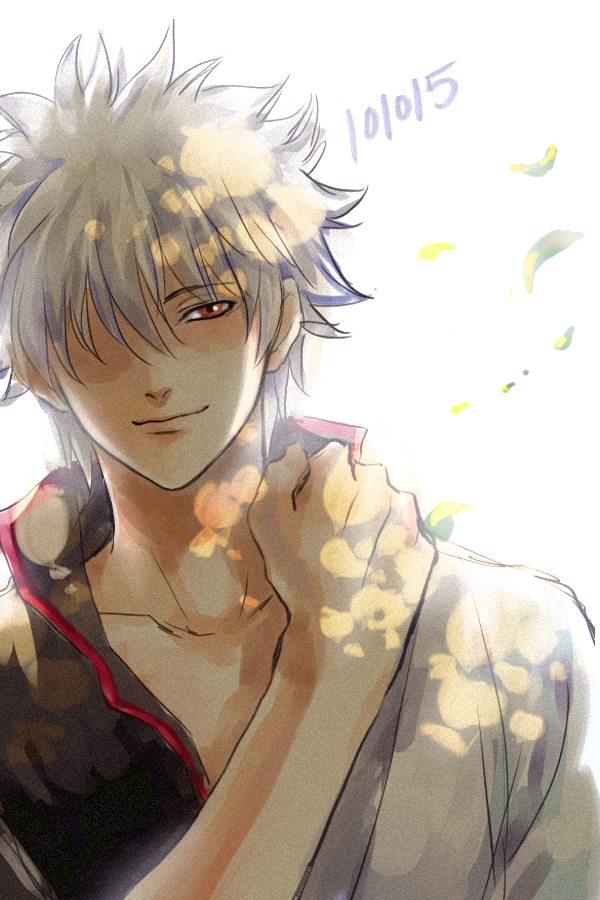 Hpbd Gintoki