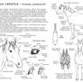 How to draw the Horse p1 - Ru
