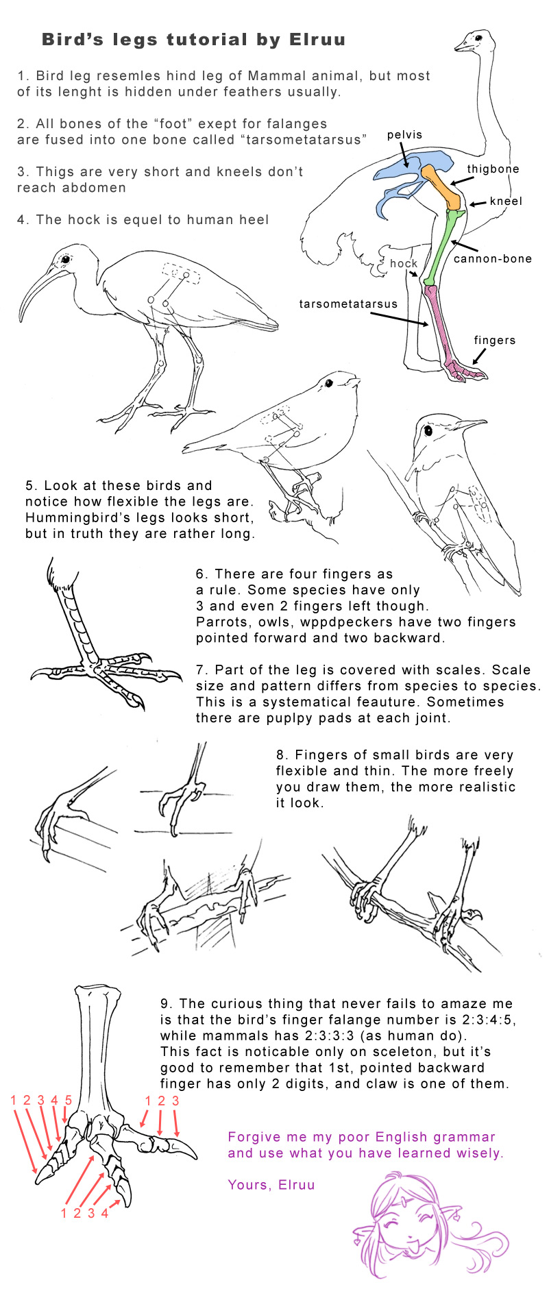 Bird legs tutorial