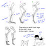 How to draw legs of mammals