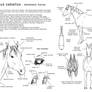 How to draw the horse 1 - Eng