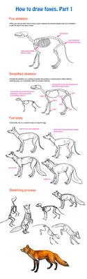 How to draw fox, part 1