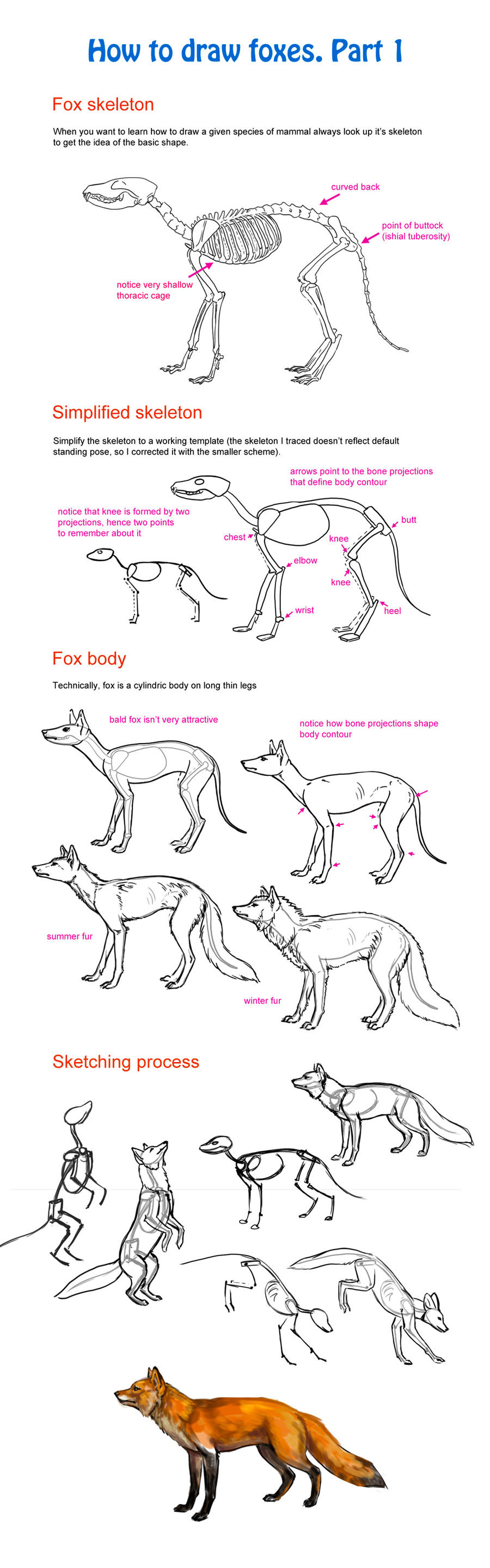 How to draw fox, part 1