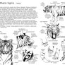 How to draw the tiger - in Ru