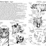 How to draw the Tiger - in Eng