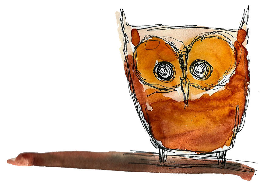 Owl in watercolour