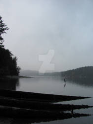 Three Logs on the Waterside