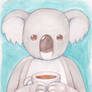 Coffee Koala