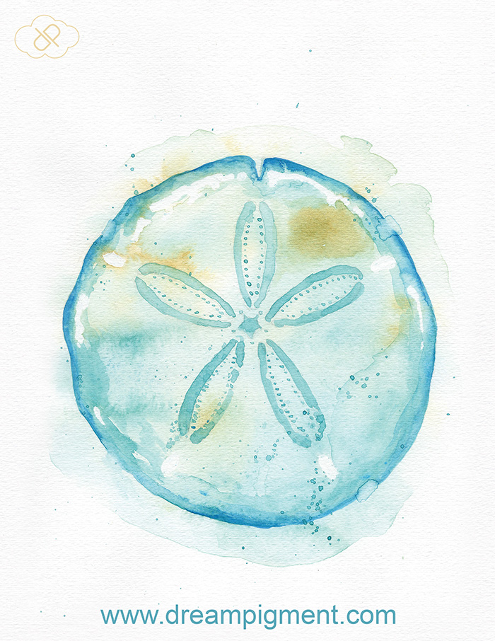 Aqua Sand Dollar