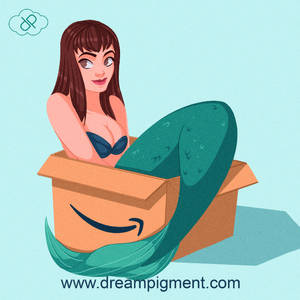 Amazon Mermaid Box - DTIYS Entry
