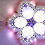 Pretty Pansy