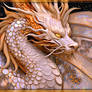 Gaze of the Dragon