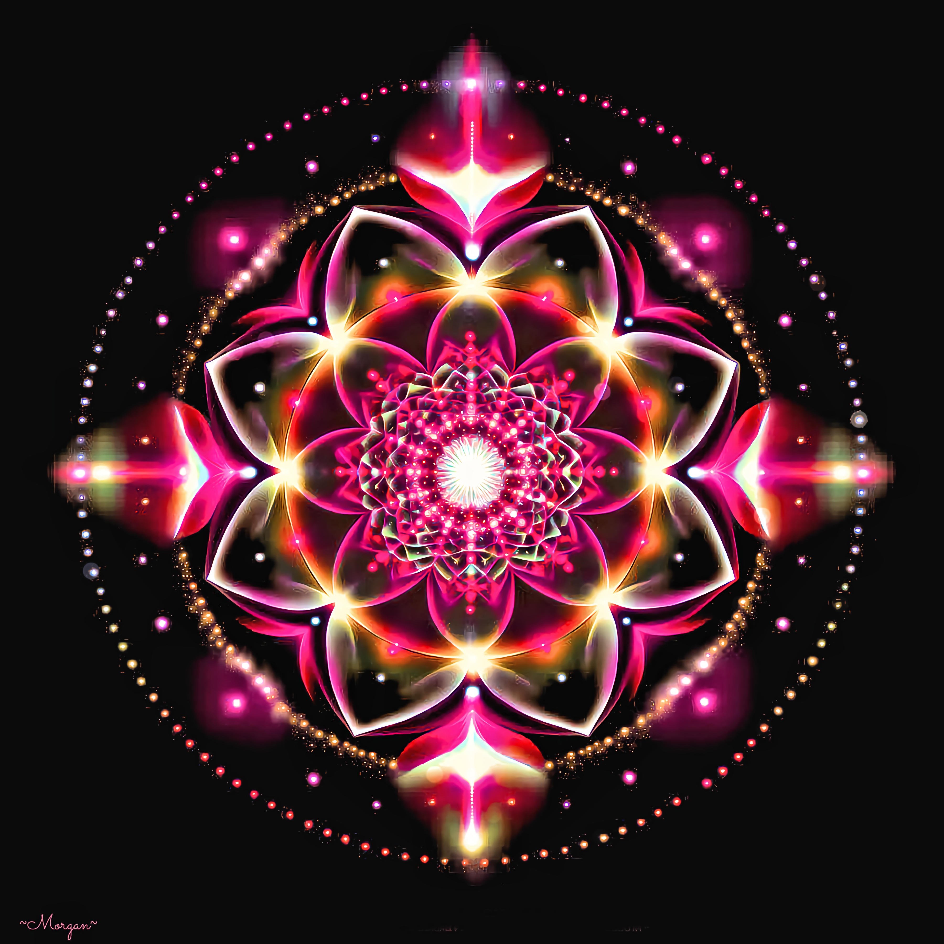 Vibrance Collection