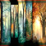 Symphony of Seasons