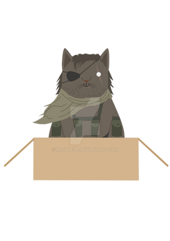 Venon snake cat happy
