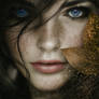 Autumn Dream