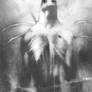 Spawn