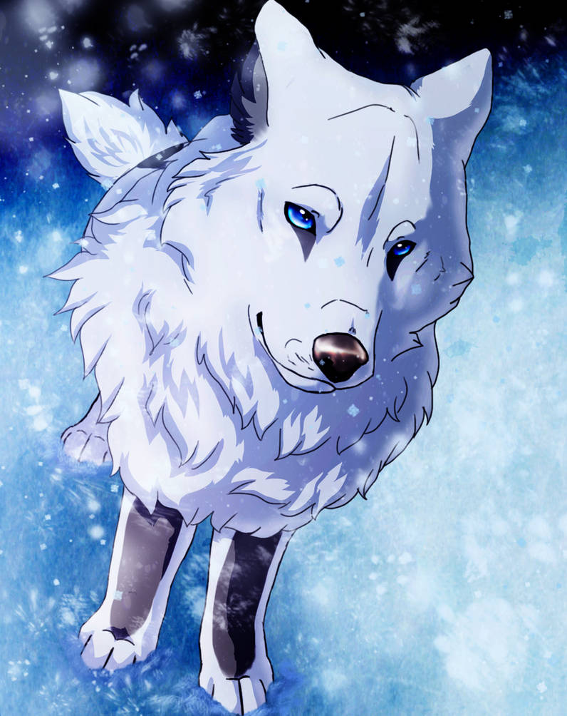 Akami Color Akami by LewKat on DeviantArt