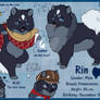 Rin_NEW Character sheet