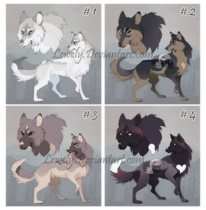 Wolves Adopt Auction - OPEN (1 , 3)