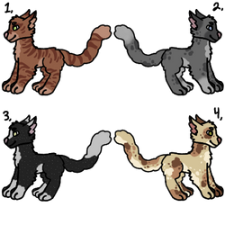 Cat Adopts [4/4]