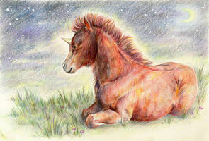 Unicorn Book Illustration