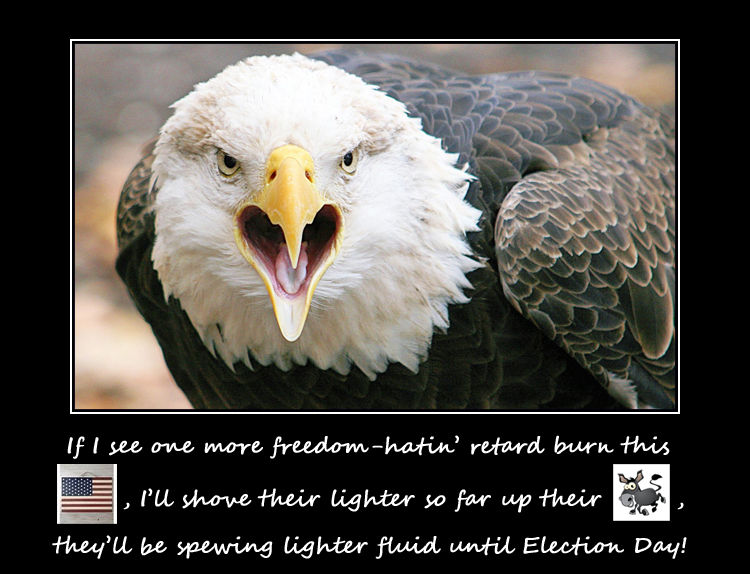Freedom Rahhhh Angry Freedom Eagle by Shizuru-Minamino on DeviantArt