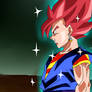 Vegito Red