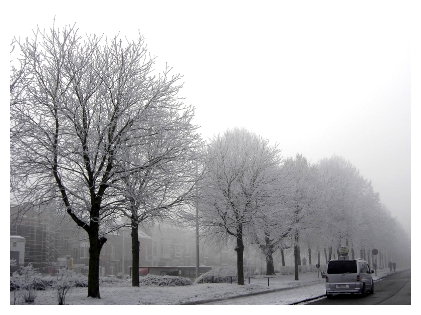 Frozen Lane